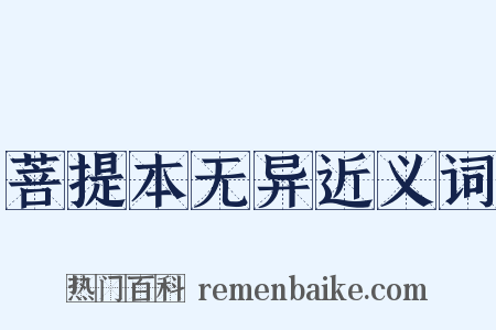 菩提本无异近义词是什么意思的图片